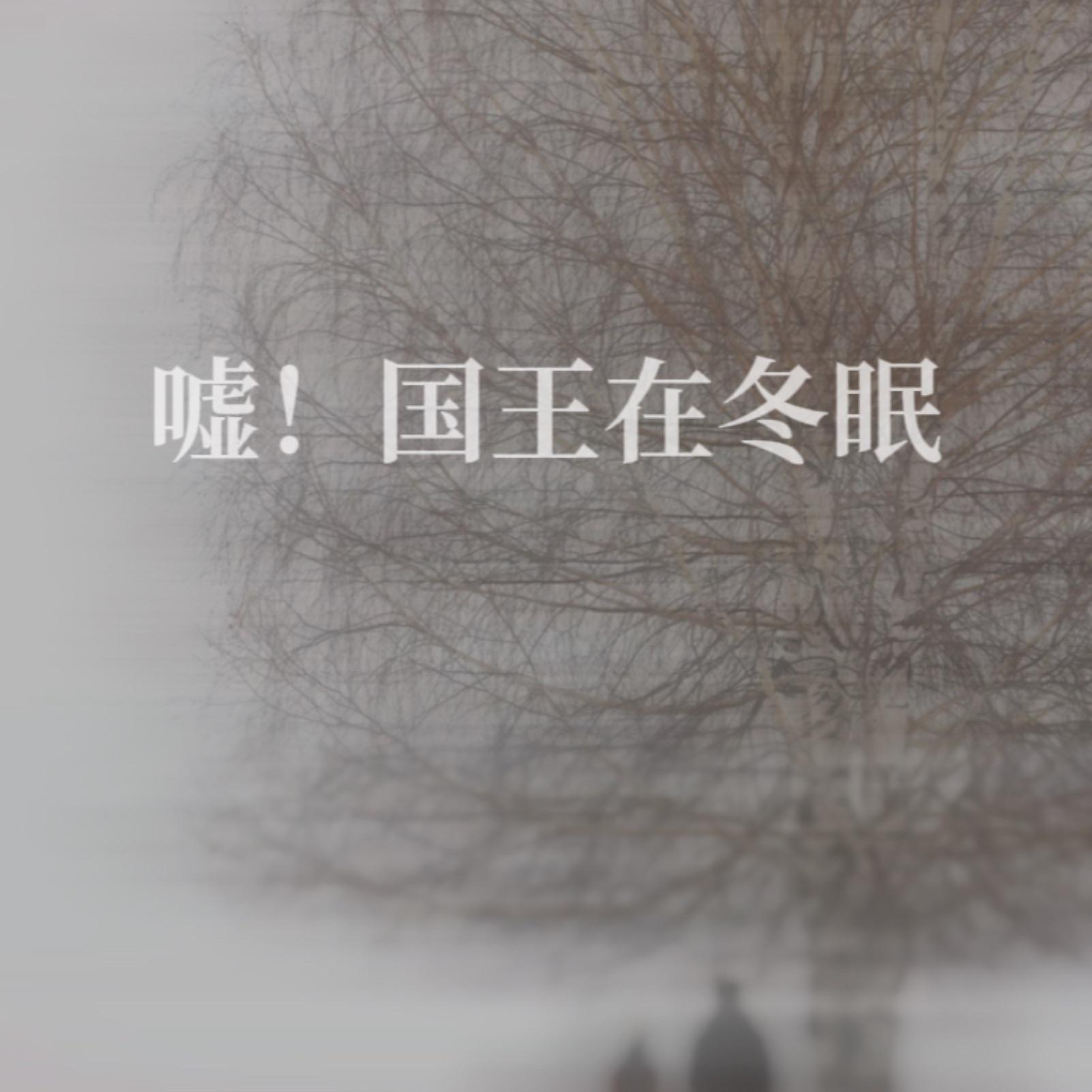 《嘘！国王在冬眠》同人曲