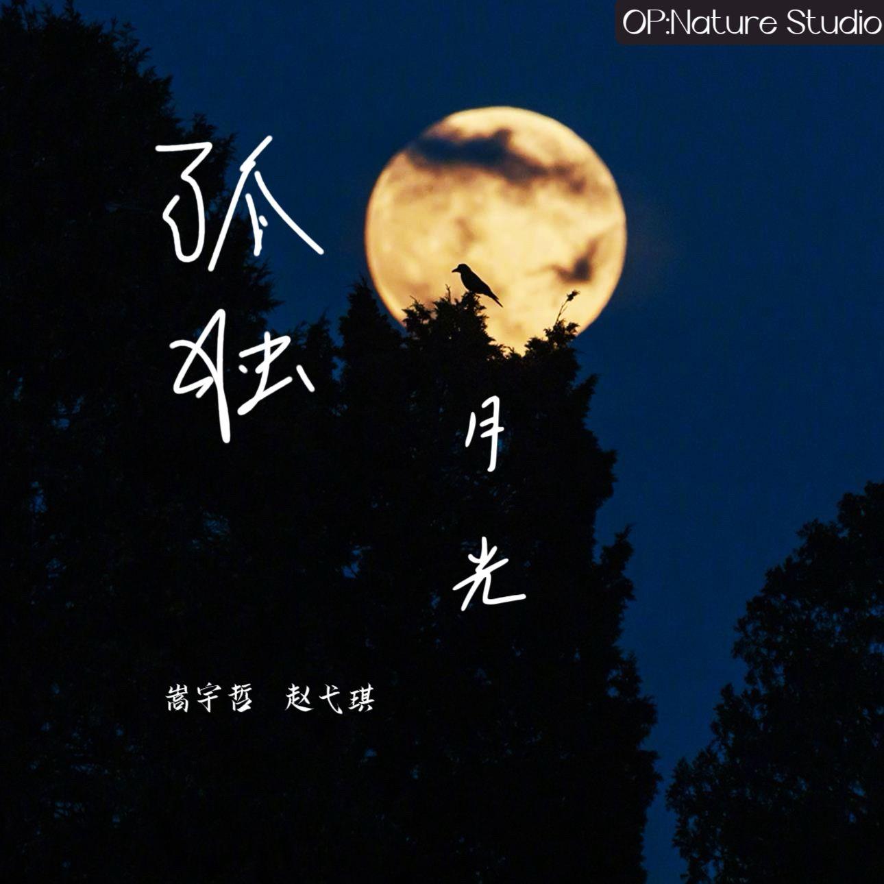 孤独月光