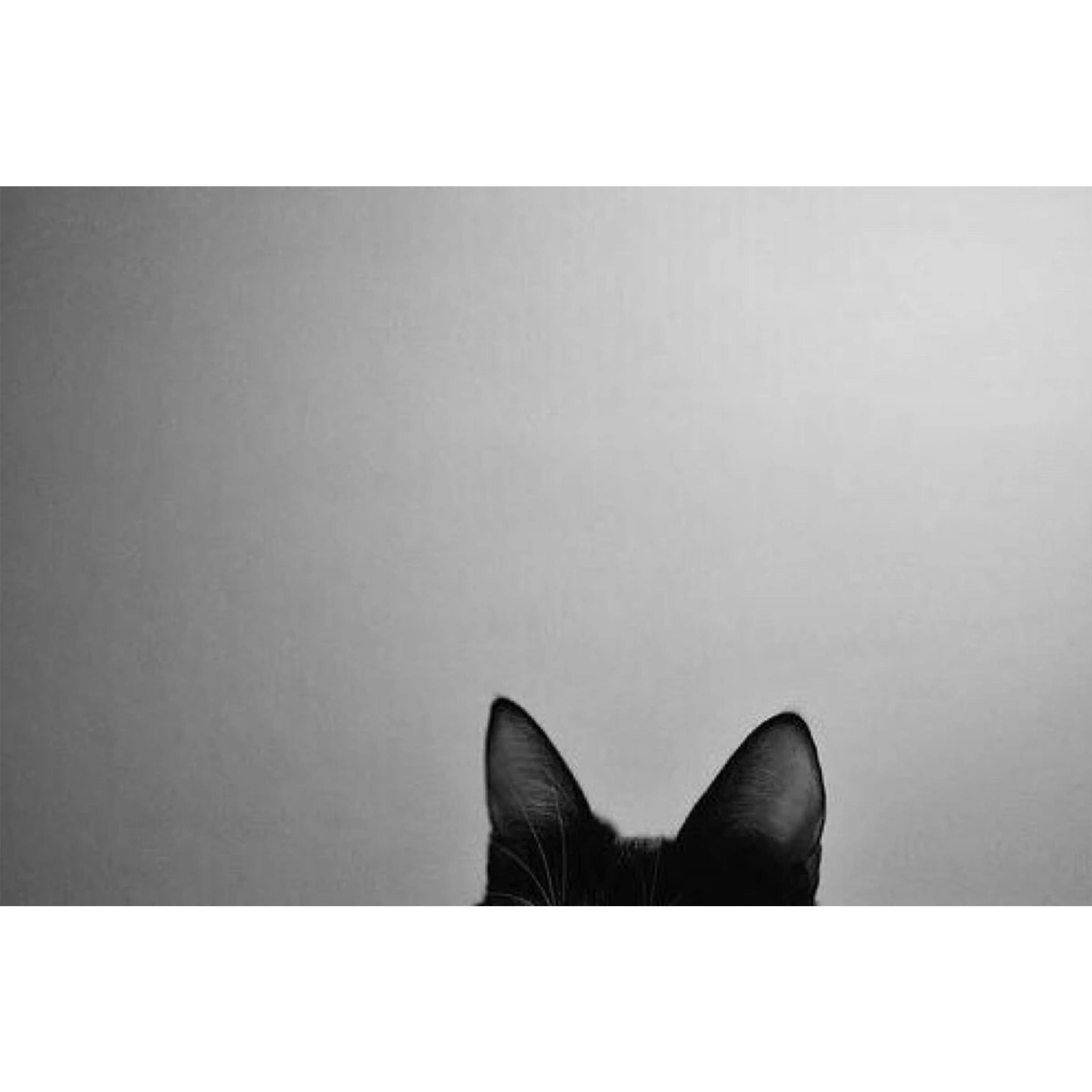 小宇（翻自 张震岳）