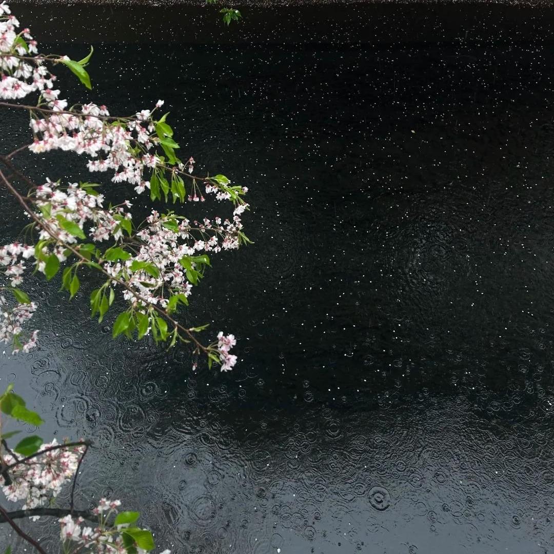 那时雨