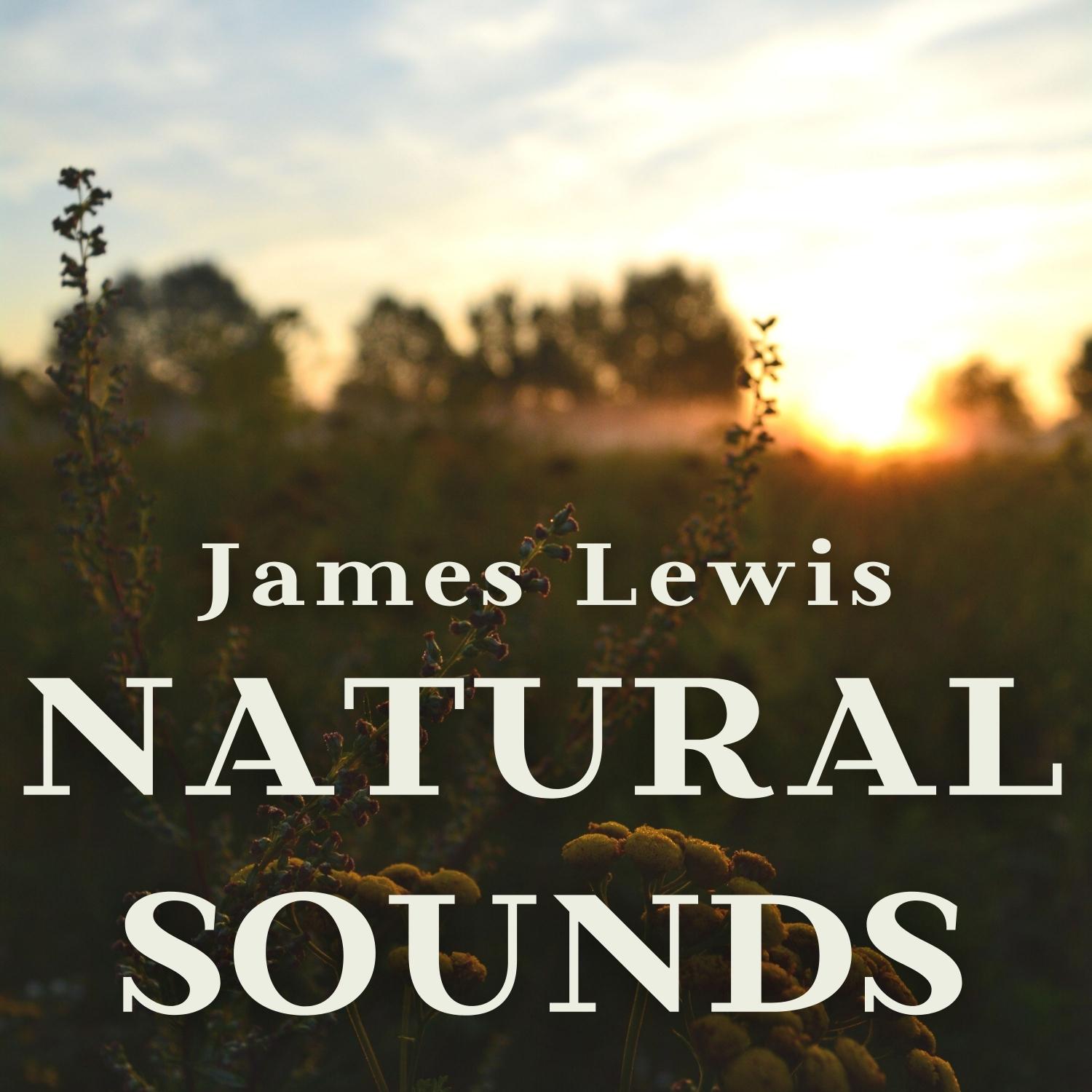 Natural Sounds