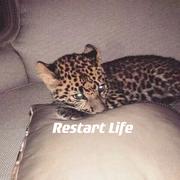 Restart Life