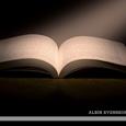 Albin Svensson歌手图片