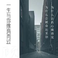 不挽留没回头