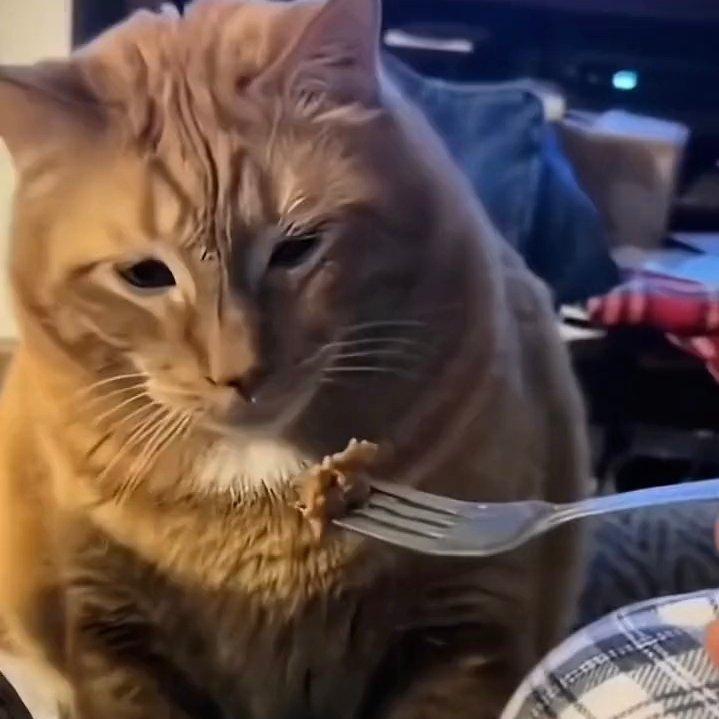 门楼（老北京人地道战歌）