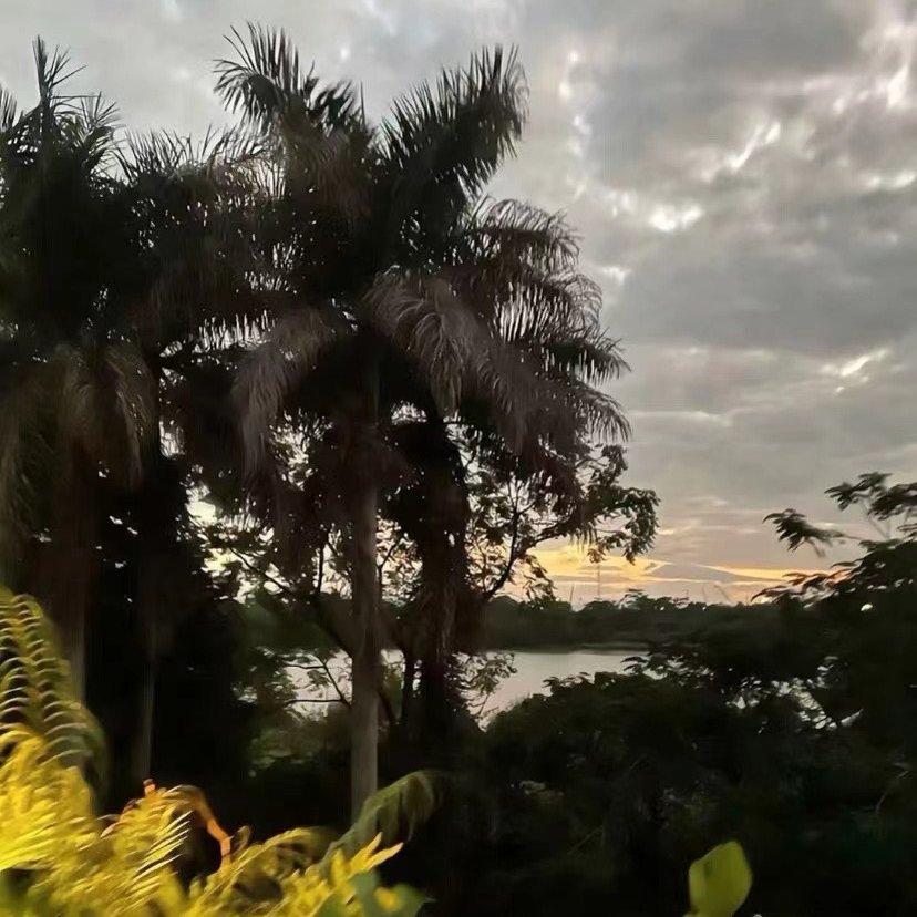 泡沫remix（伴奏1.1X）