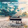 vibronic nation - Kumbaya