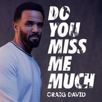 Craig David - Do You Miss Me Much (Instrumental) 原版无和声伴奏