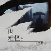 也难怪 (和声伴奏|伴奏)