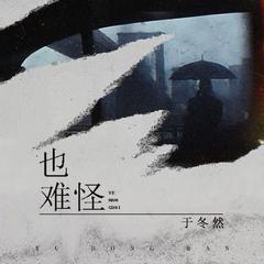 也难怪 (和声伴奏|伴奏)