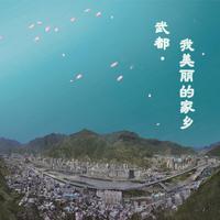 常思思-武都我美丽的家乡 伴奏 无人声 伴奏 AI版本