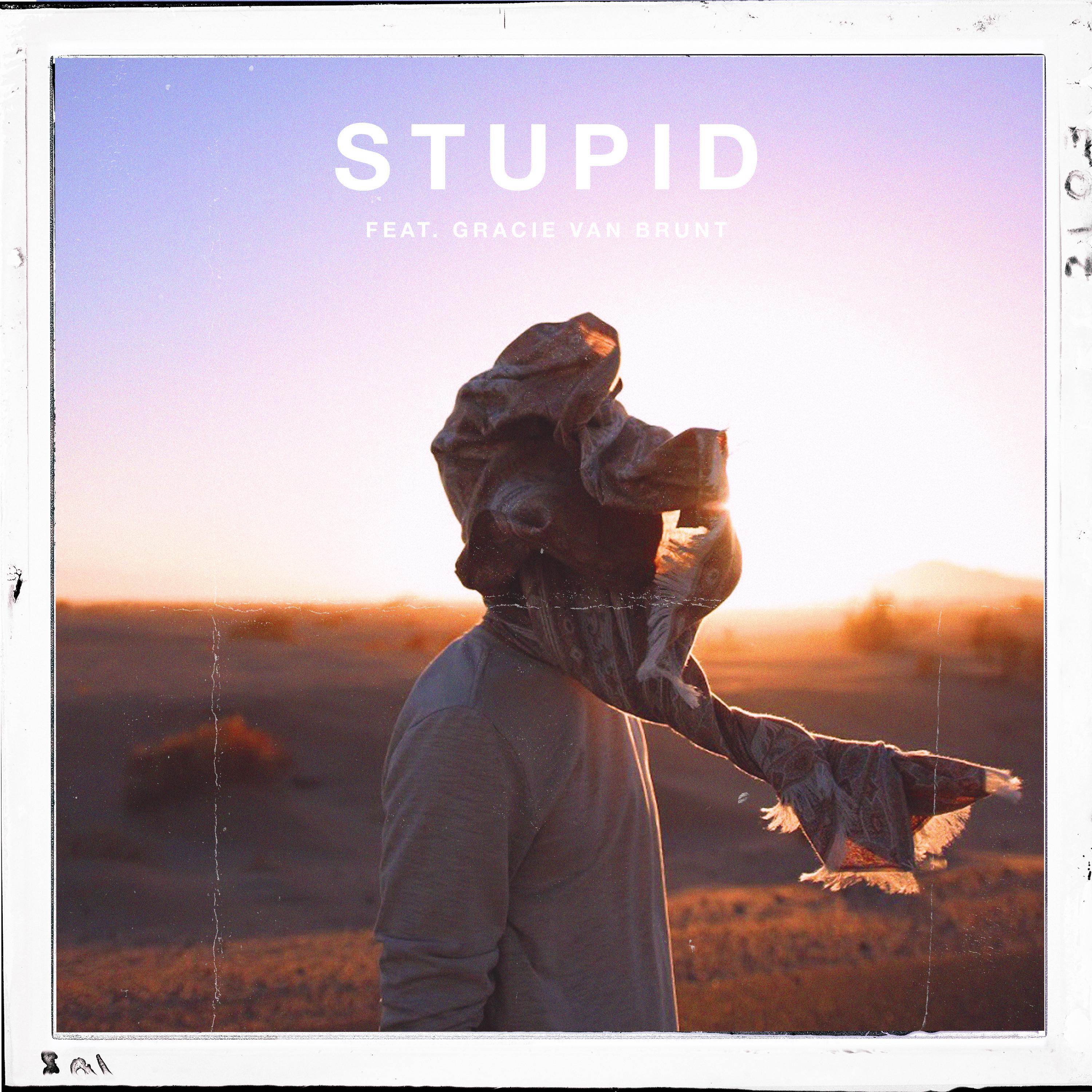 Stupid
