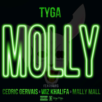 Molly - Tyga, Cedric Gervais, Wiz Khalifa & Mally Mall (unofficial Instrumental) 无和声伴奏