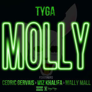 Molly - Tyga, Cedric Gervais, Wiz Khalifa & Mally Mall (karaoke) 带和声伴奏 （降2半音）