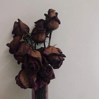 过去不重要，未来才重要