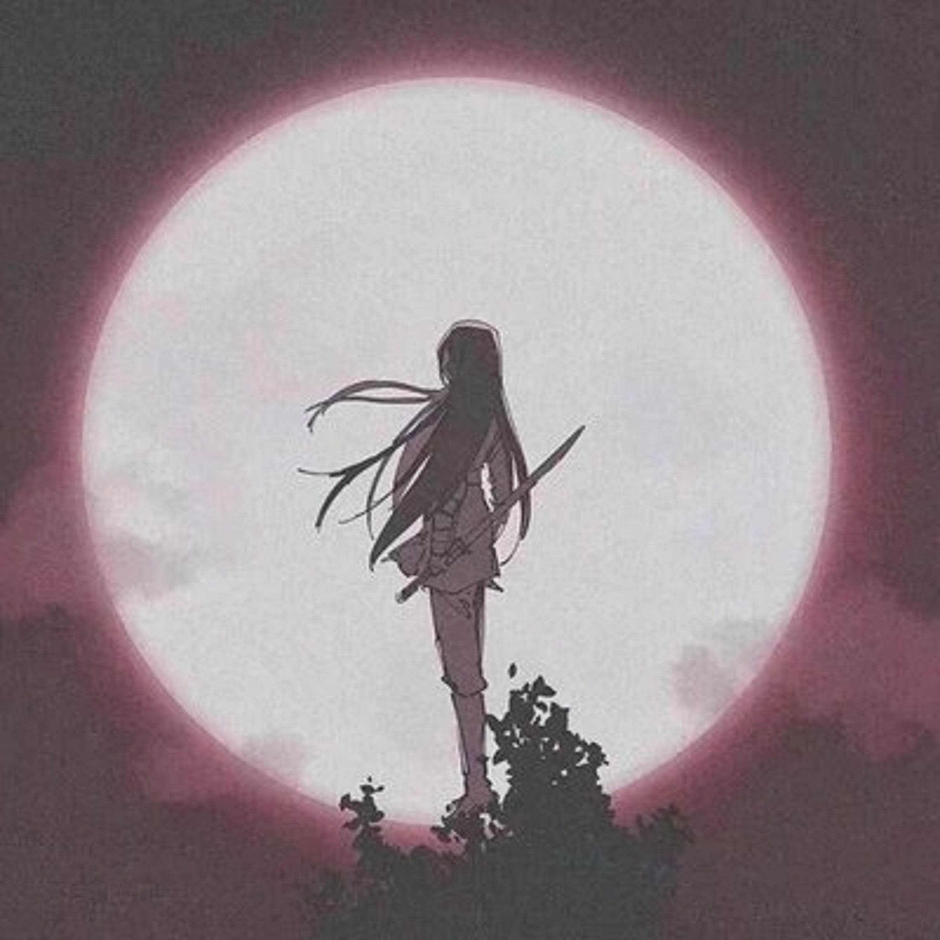 雁归南（x0.8）