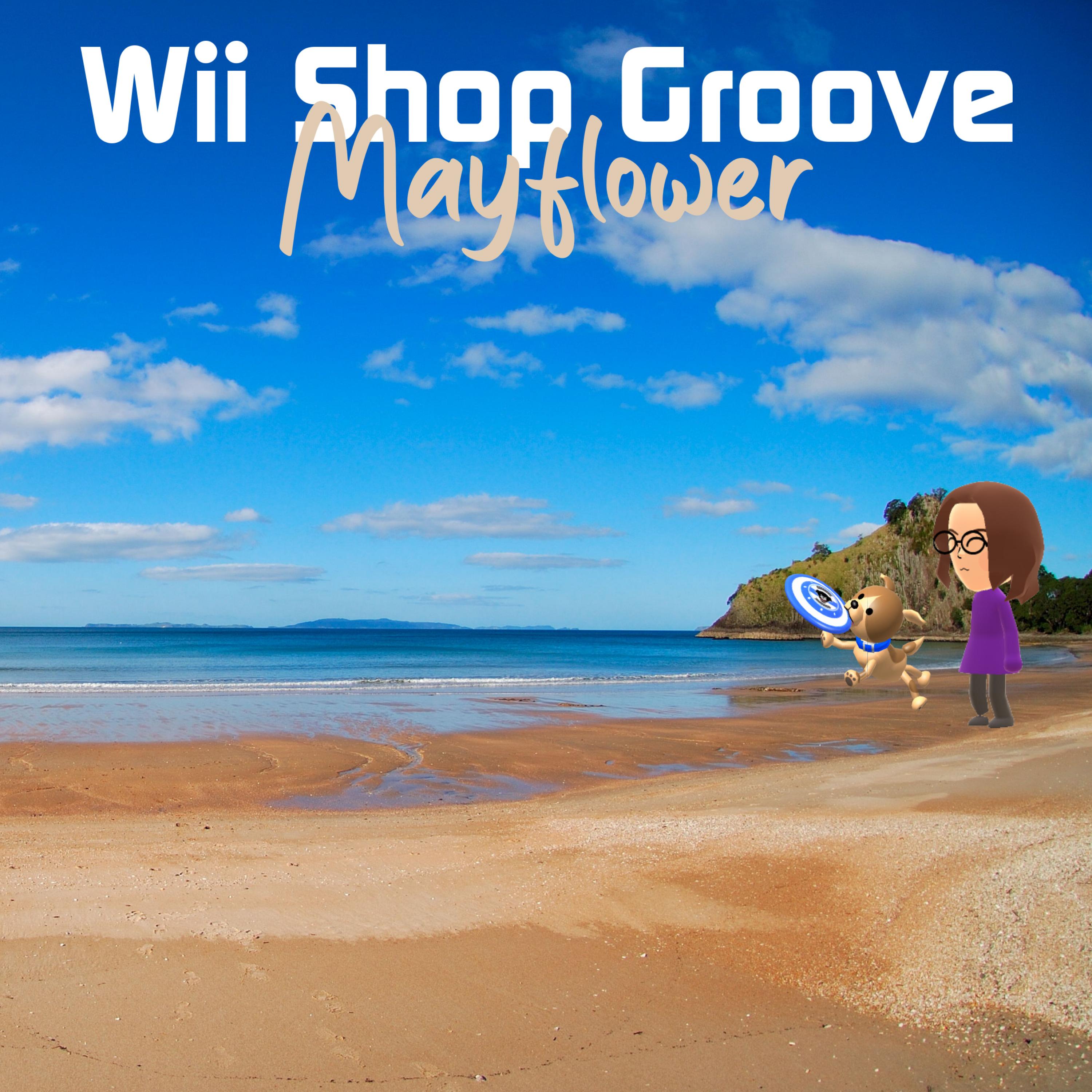 Wii Shop Groove