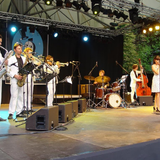 Lady Linn and Her Magnificent Seven