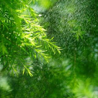 生命久如暗室 不妨我明写春诗