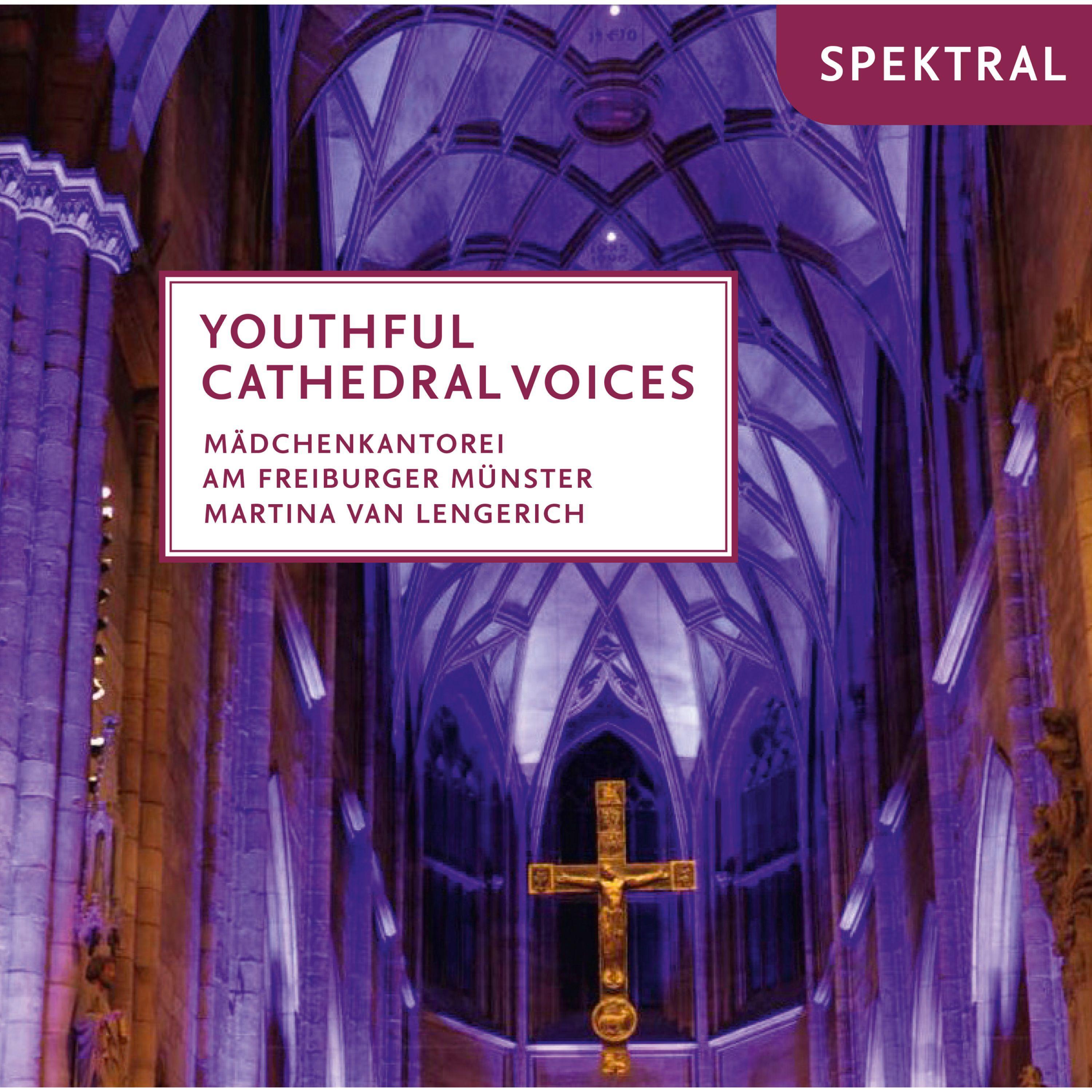 Brahms, Chilcott, Dobrogosz, Heckmann, Michel & Lengerich: Youthful Cathedral Voices