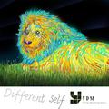 Different self(Original Mix)