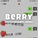 Berry Remix