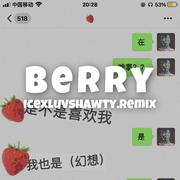 李佳隆-Berry（Icexluvshawty Remix）