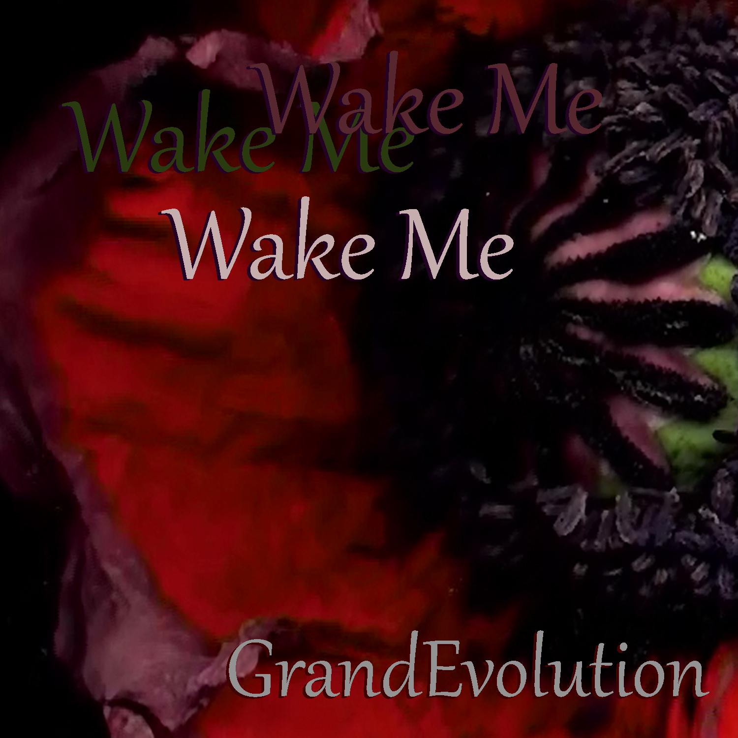 Wake Me