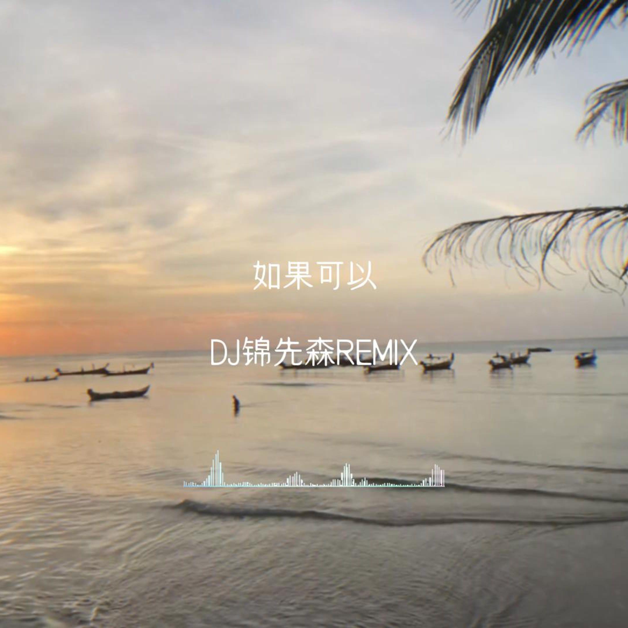 如果可以（DJ锦先森 Remix）