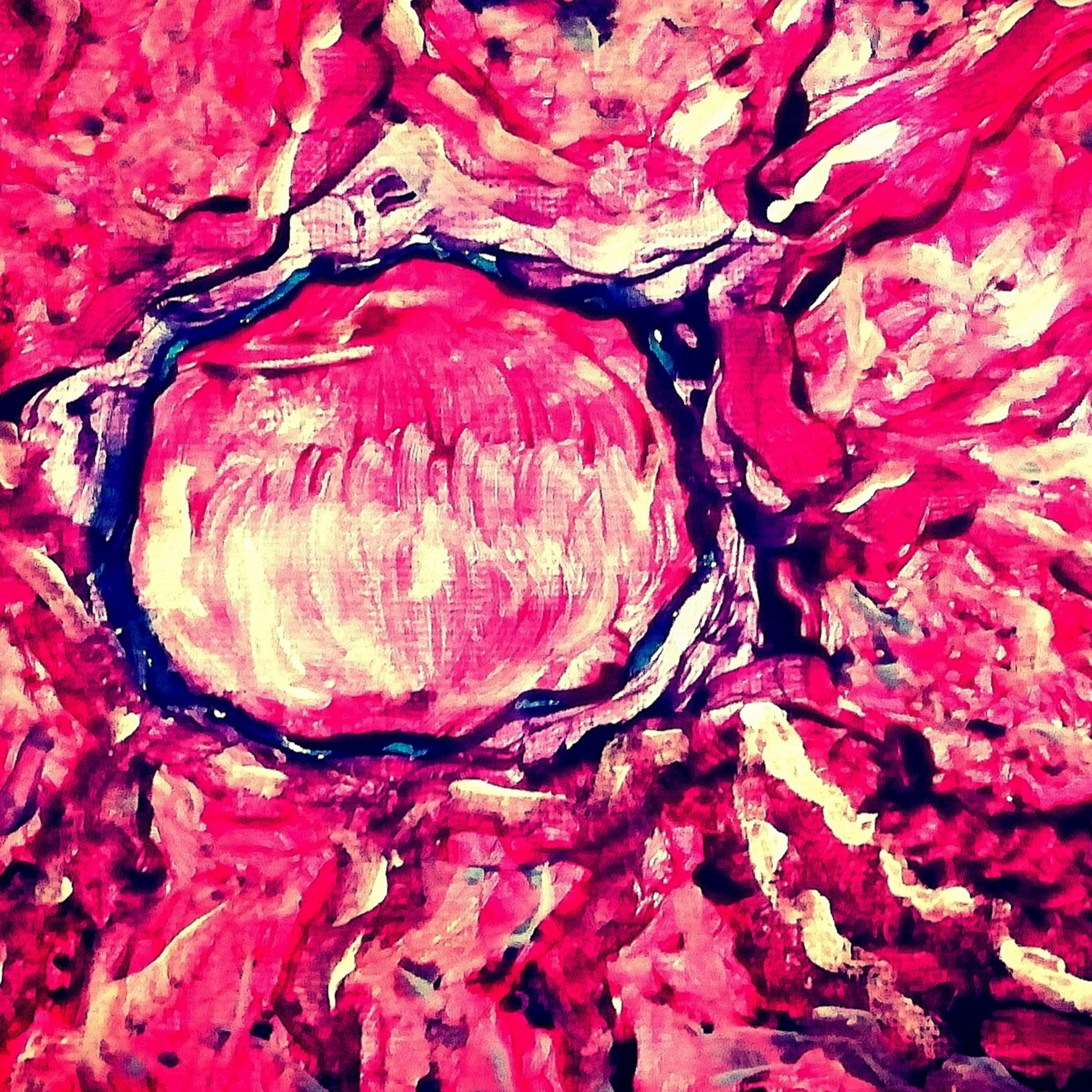 Amygdala