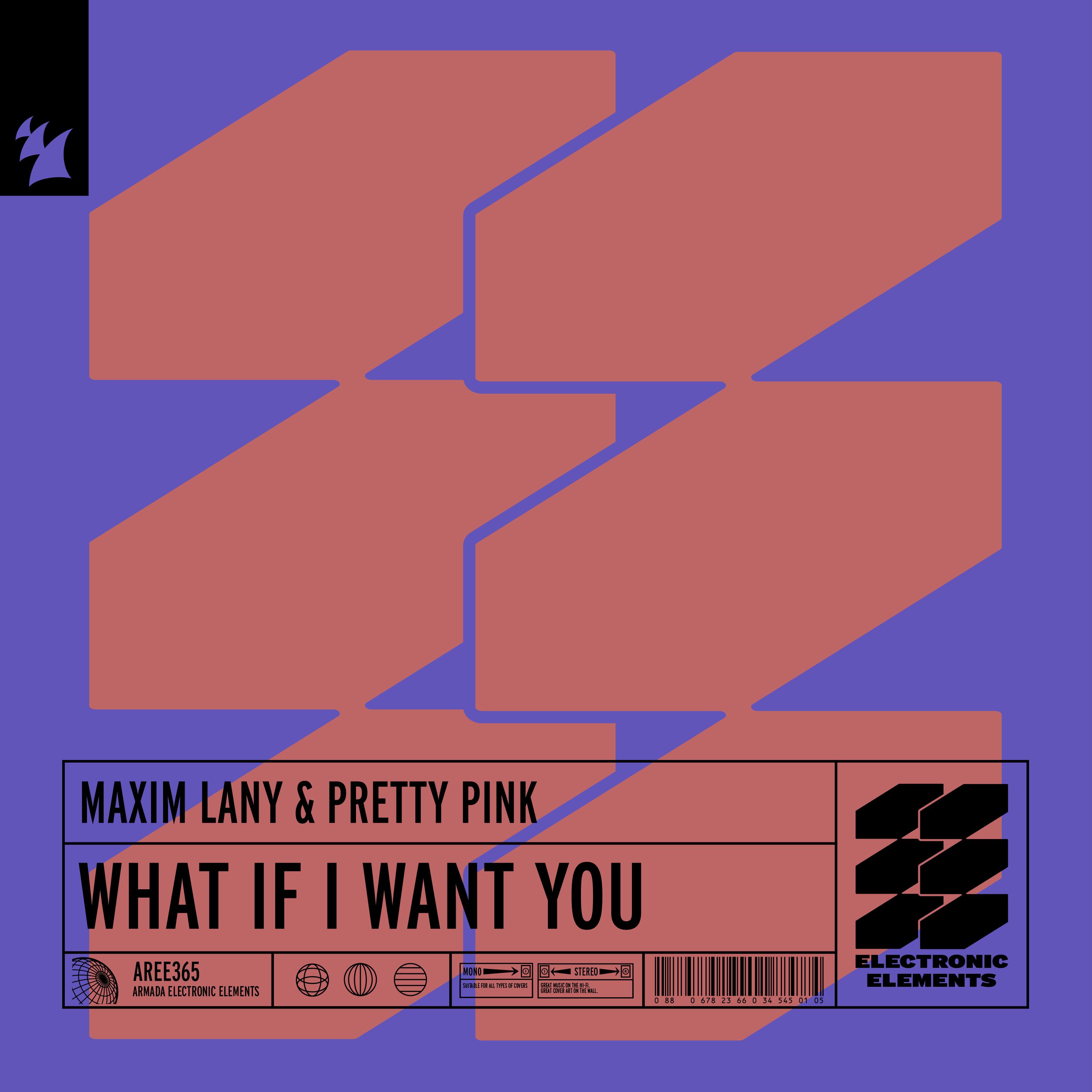 Maxim Lany - What If I Want You