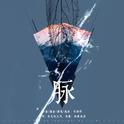 脉专辑