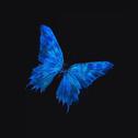 Butterfly专辑