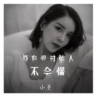 小曼 - 没有爱过的人不会懂(原版立体声伴奏)