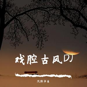 刘宏杰、石雪峰 - 公子多情敢问芳名古风版 - 石雪峰伴奏(伴奏)