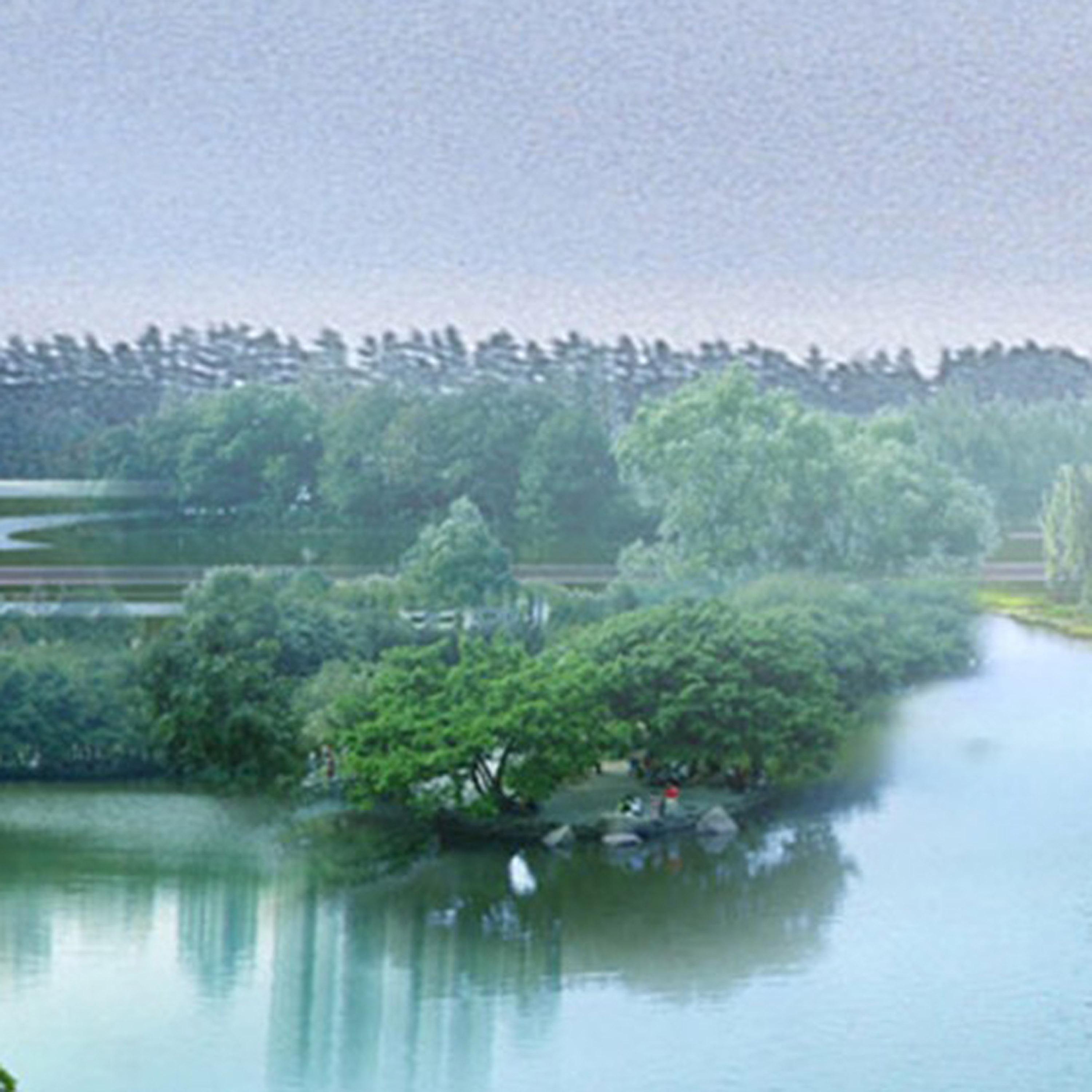 路不通就转弯心不悦就看淡