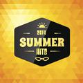 Summer Hits 2014