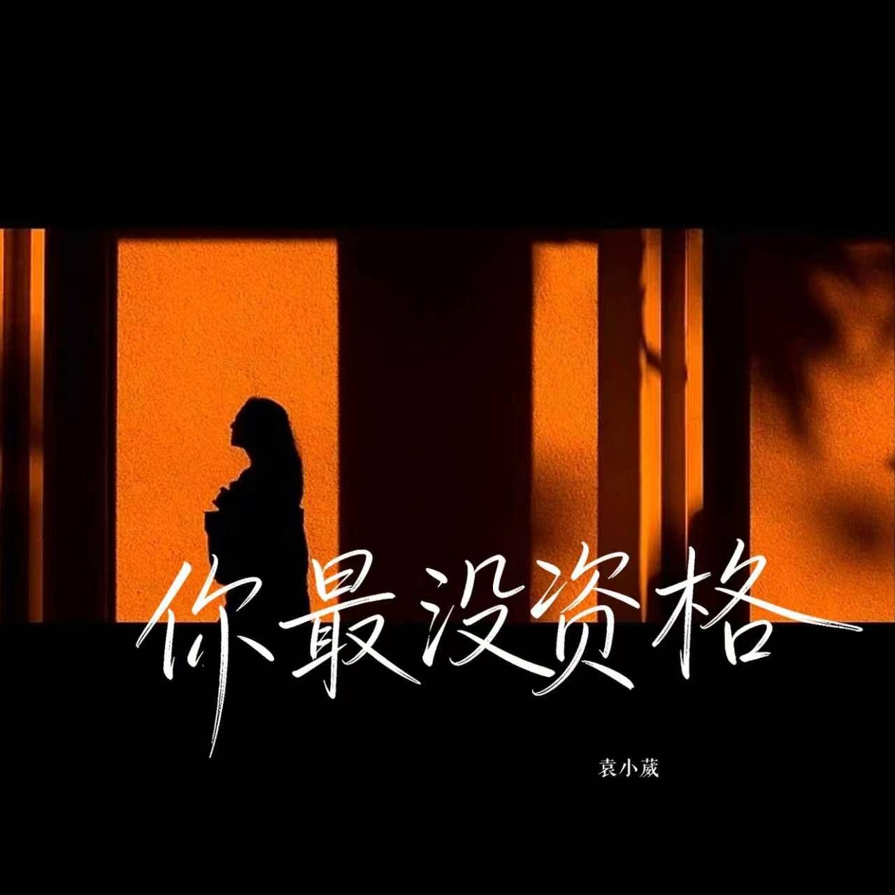 你最没资格