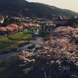 Savage Love