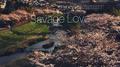 Savage Love专辑