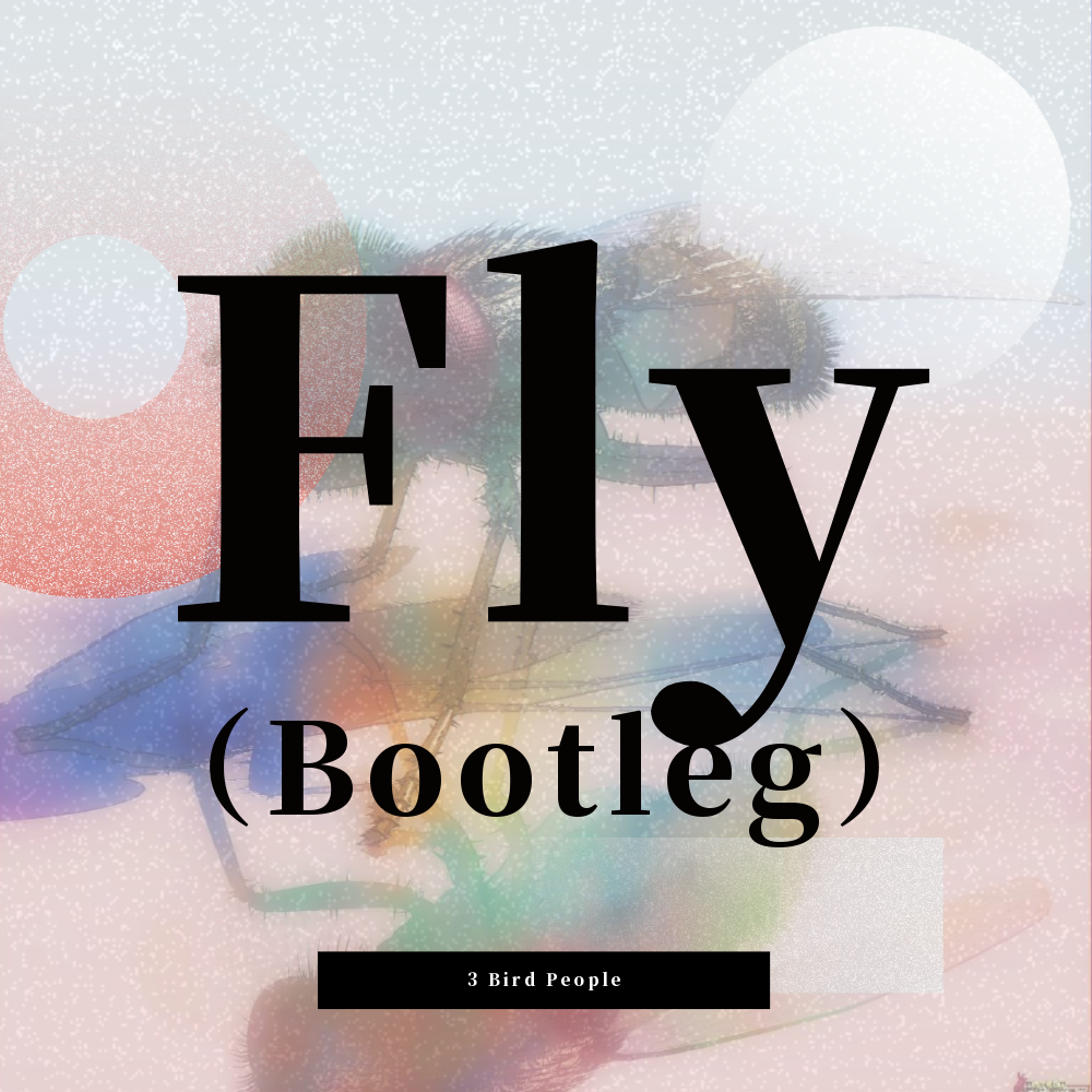 Fly（Bootleg）专辑