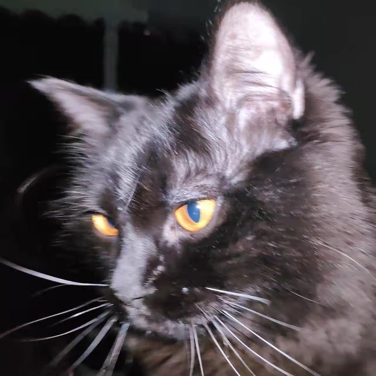 黑神话悟空摇滚节奏