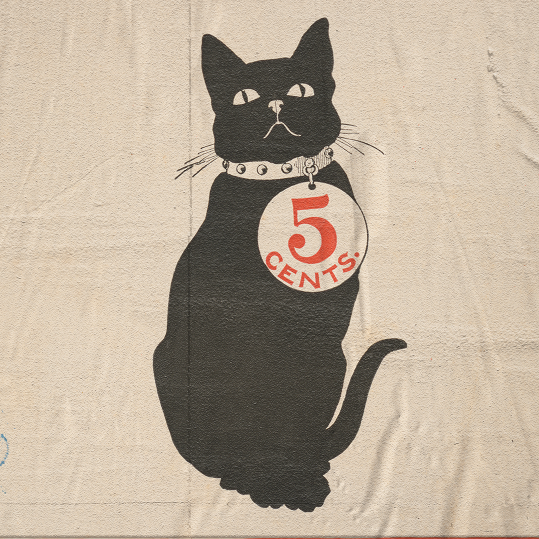 5 cents cat