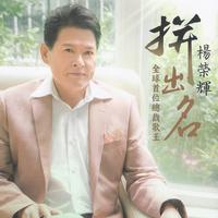 杨荣辉 - 无缘天注定(原版伴奏)
