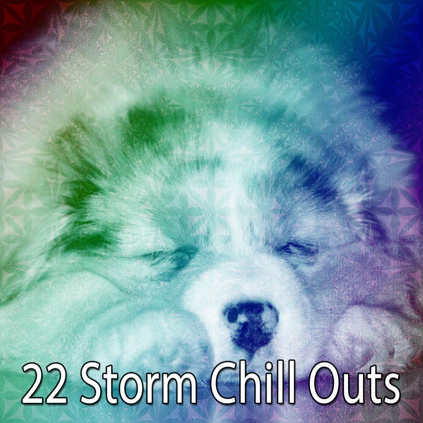 22 Storm Chill Outs专辑