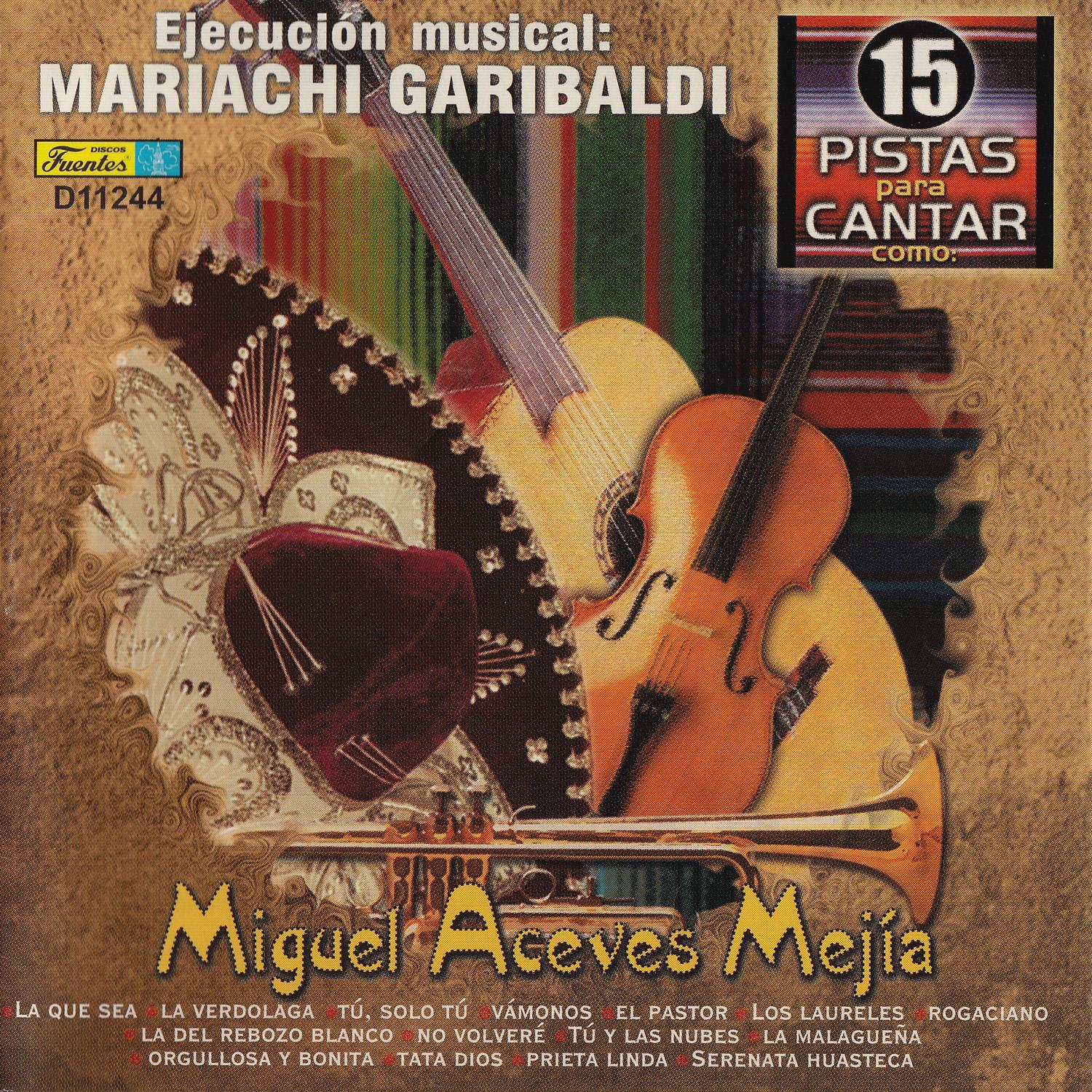 15 Pistas para Cantar Como - Sing Along: Miguel Aceves Mejía