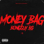 Money Bag