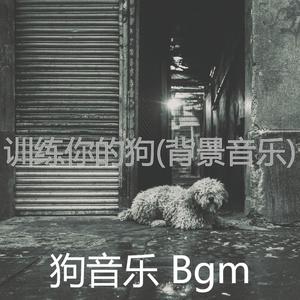 街霸 6- 春丽ps4 BGM音乐集