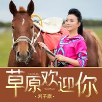 胡斌 - 呼伦贝尔大草原(原版立体声伴奏)