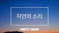 잠 못드는 밤에 ( 숙면을 위한 힐링 새소리 )专辑